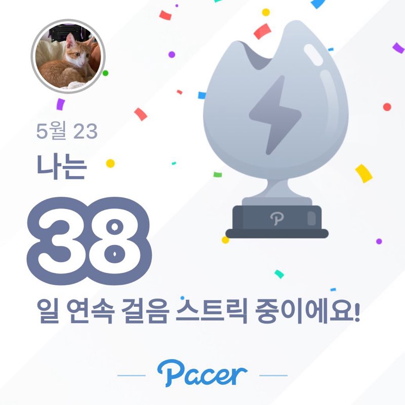 yongja post 3