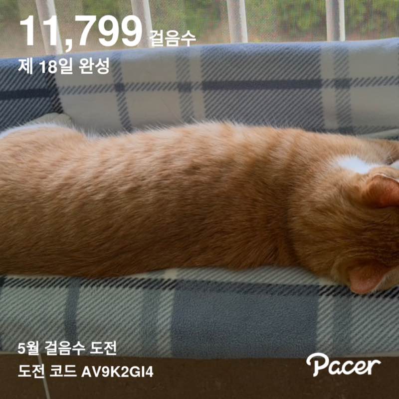 yongja post 1