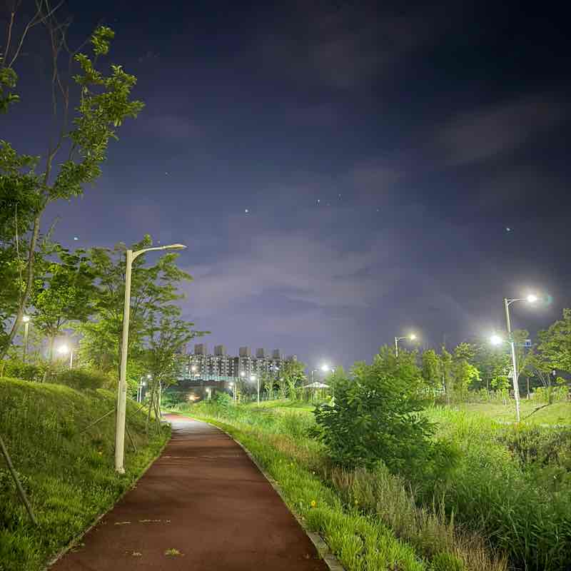 yongja post 3