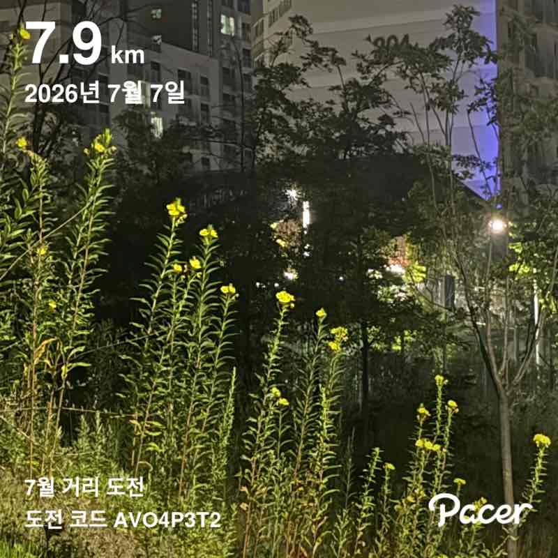 yongja post 2