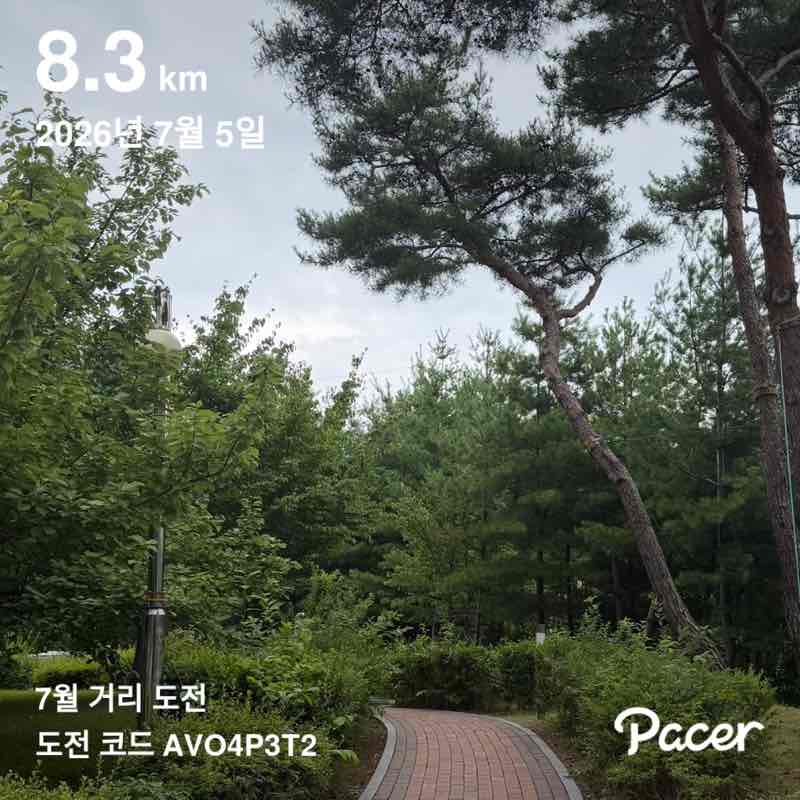 yongja post 2