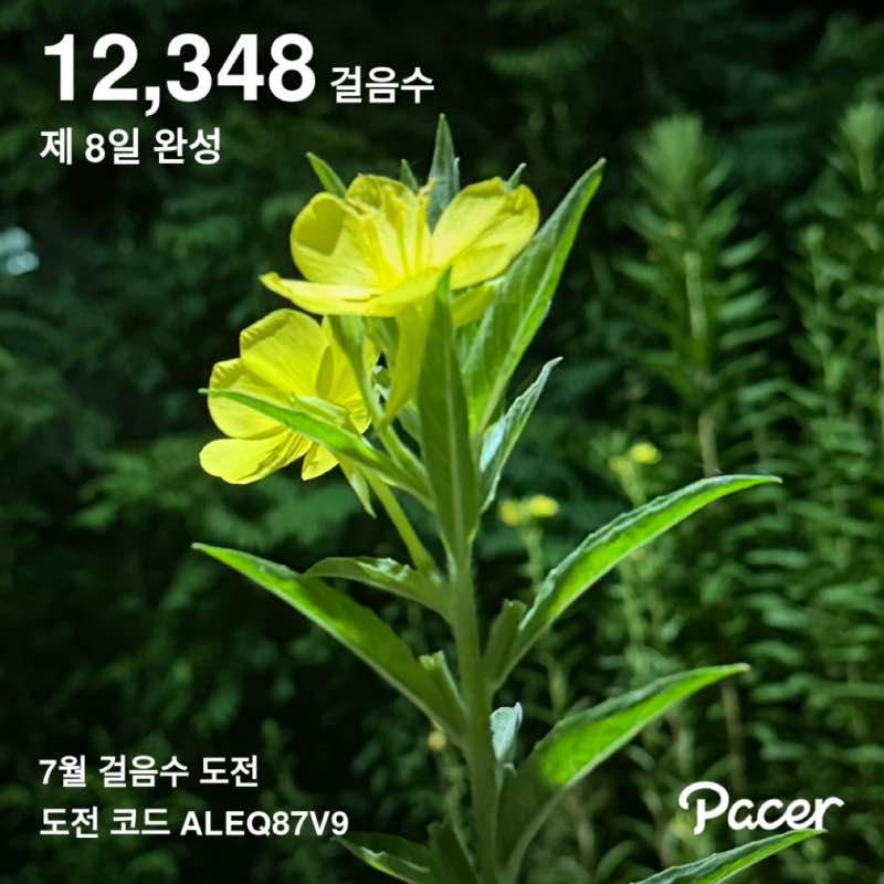 yongja post 1