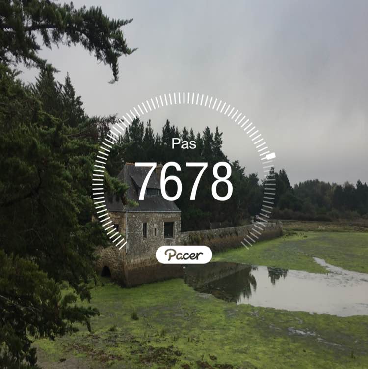 miguel.moisan post 1