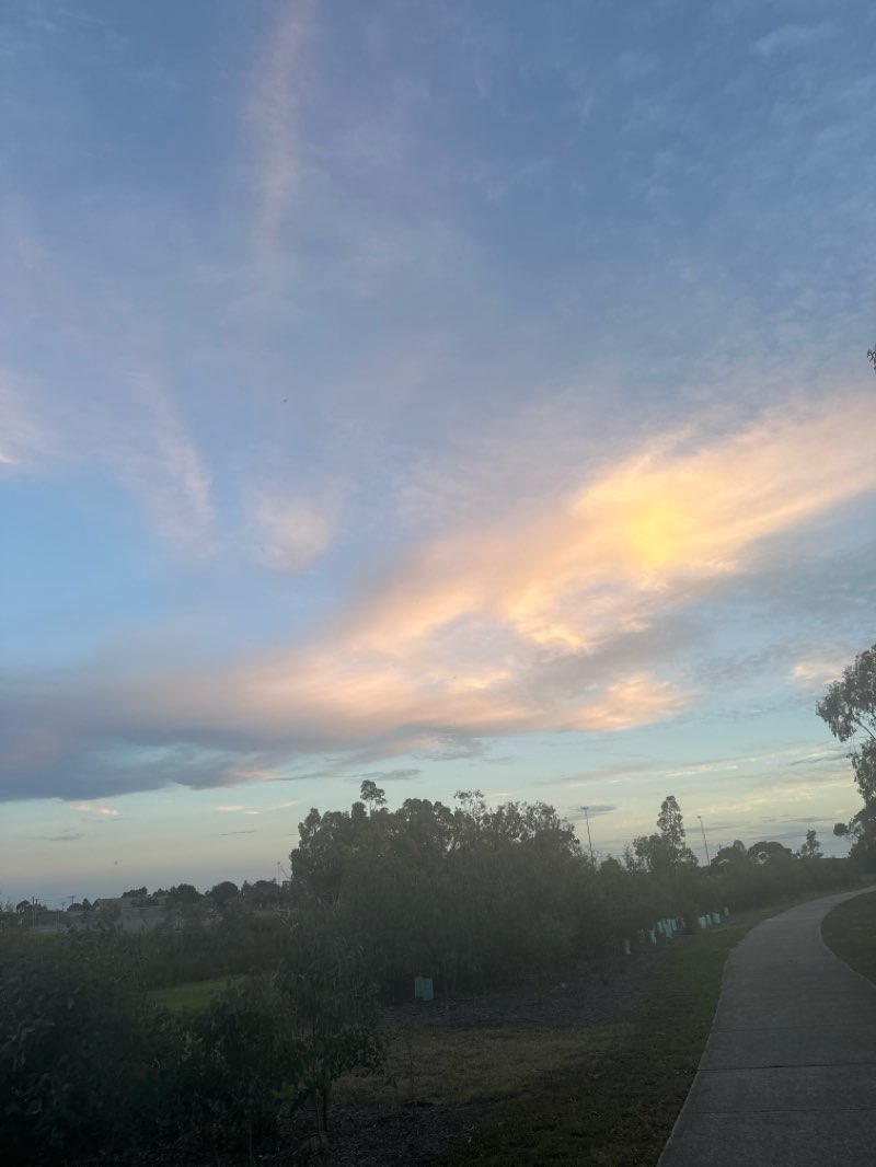 walking near me in Terama Chase Park in summer