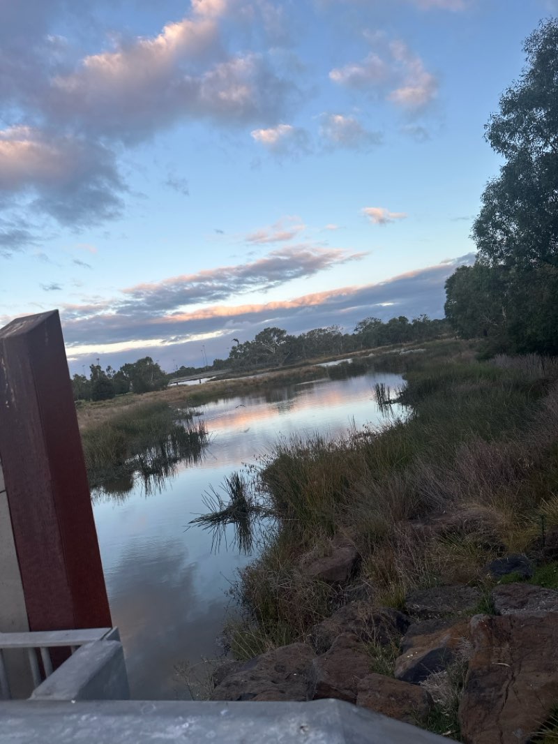 walking near me in Weemala Grove Park in summer