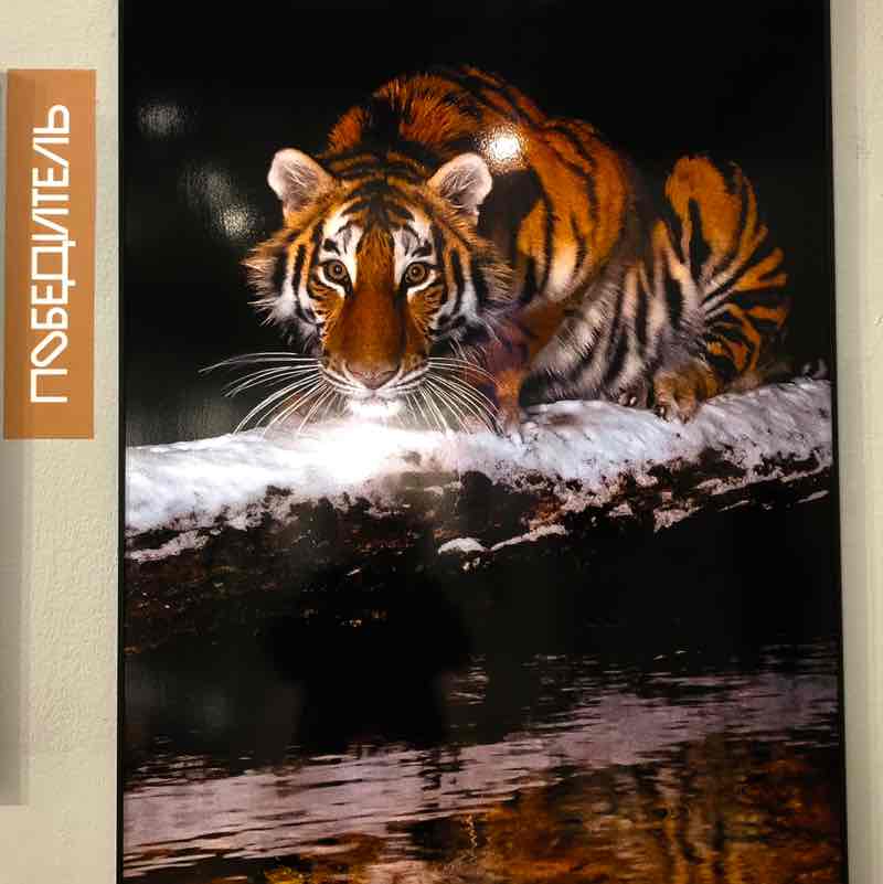 = ОТКРЫТАЯ КНИГА = 📖📚 ✨🔥🇷🇺Листова Наталья🦔🍋🍋🍋🍋🍋🍋🍋🍋🍋🍋🍋🍋🍋 post image