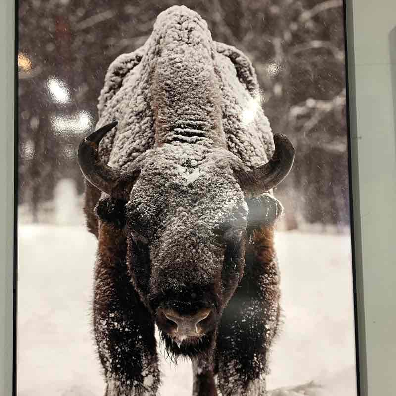 = ОТКРЫТАЯ КНИГА = 📖📚 ✨🔥🇷🇺Листова Наталья🦔🍋🍋🍋🍋🍋🍋🍋🍋🍋🍋🍋🍋🍋 post image