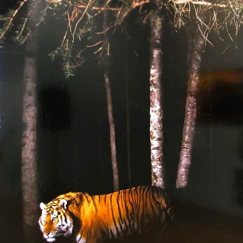 = ОТКРЫТАЯ КНИГА = 📖📚 ✨🔥🇷🇺Листова Наталья🦔🍋🍋🍋🍋🍋🍋🍋🍋🍋🍋🍋🍋🍋 post image