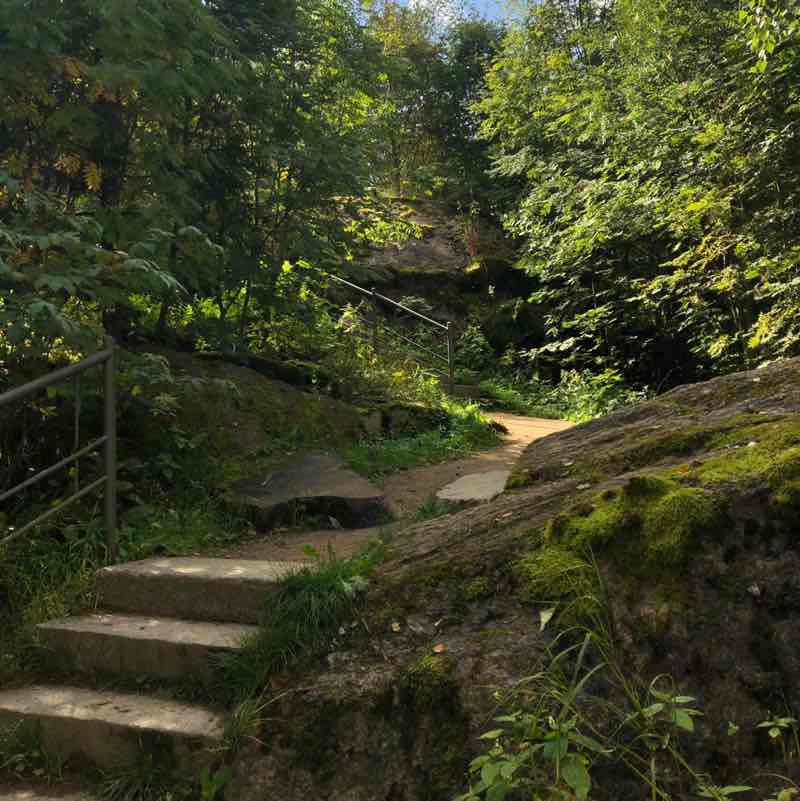 September Steps Challenge ✨🔥🇷🇺Листова Наталья🦔🍋16🍋 post image