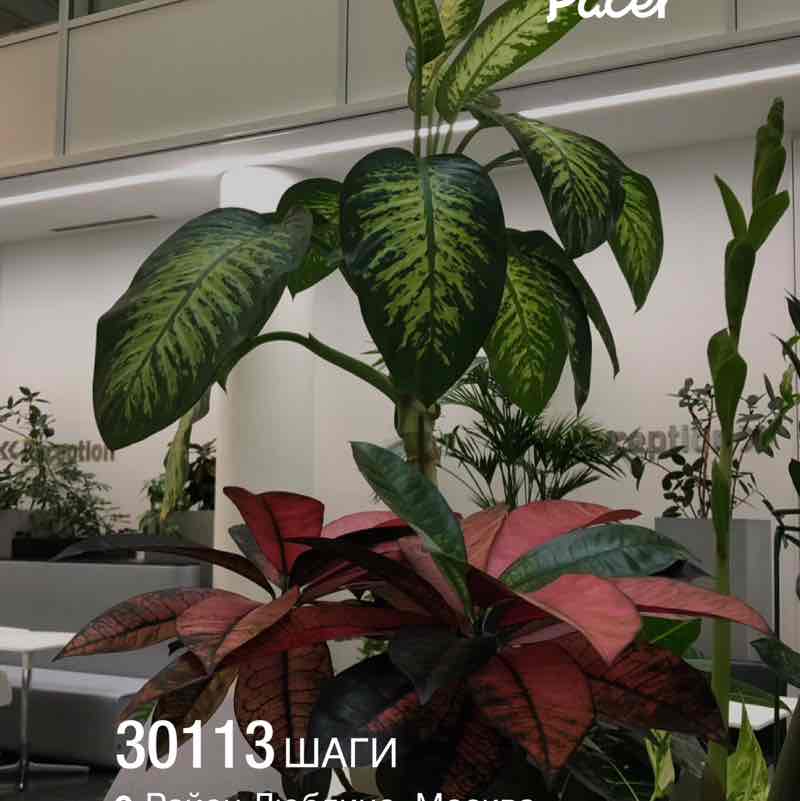 December Distance Challenge ✨🔥🇷🇺Листова Наталья🦔🍋🍋🍋🍋🍋🍋🍋🍋🍋🍋🍋🍋🍋🍋 post image