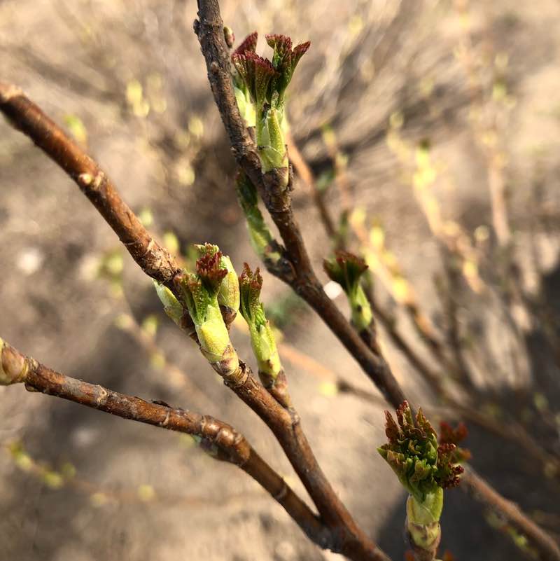 ✨🔥🇷🇺Листова Наталья🦔🍋🍋🍋🍋🍋🍋🍋🍋🍋🍋🍋🍋🍋🍋 post 3