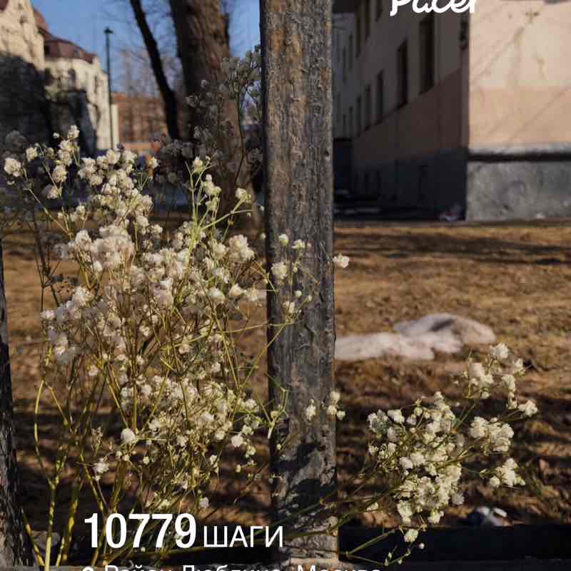 ✨🔥🇷🇺Листова Наталья🦔🍋🍋🍋🍋🍋🍋🍋🍋🍋🍋🍋🍋🍋🍋 post 1