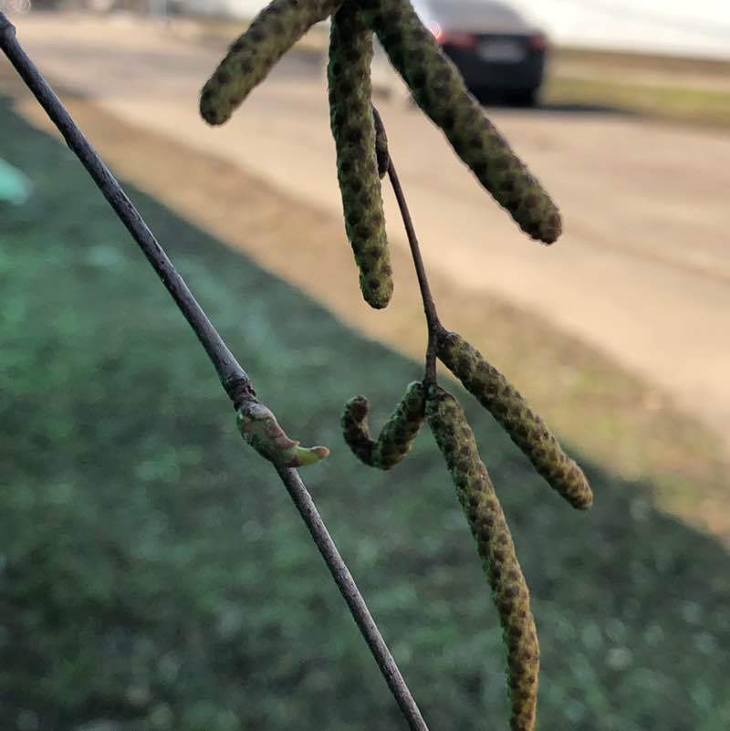 ✨🔥🇷🇺Листова Наталья🦔🍋🍋🍋🍋🍋🍋🍋🍋🍋🍋🍋🍋🍋🍋 post 2