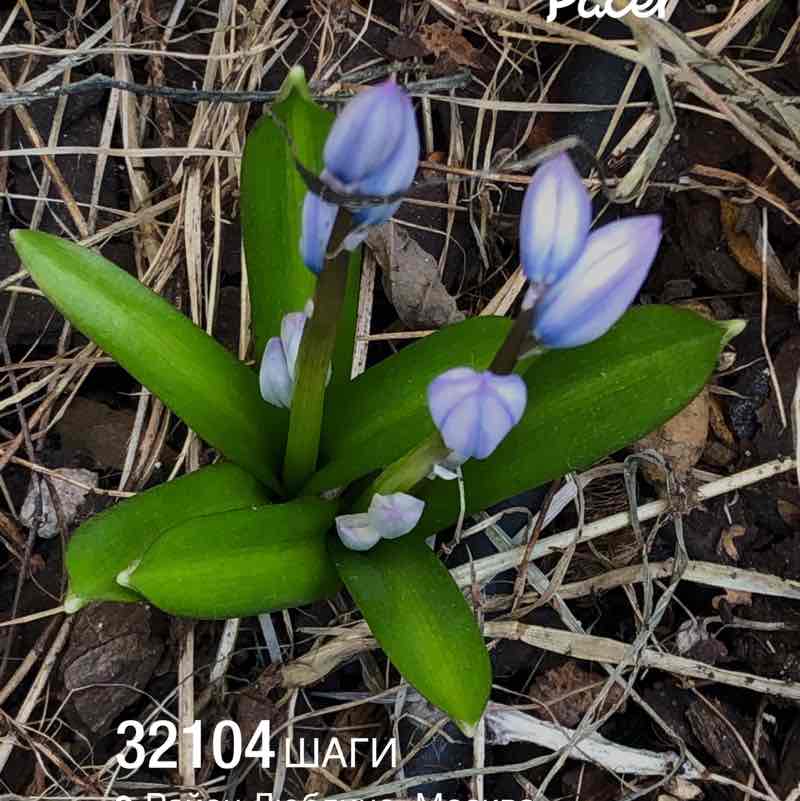 ✨🔥🇷🇺Листова Наталья🦔🍋🍋🍋🍋🍋🍋🍋🍋🍋🍋🍋🍋🍋🍋 post 1