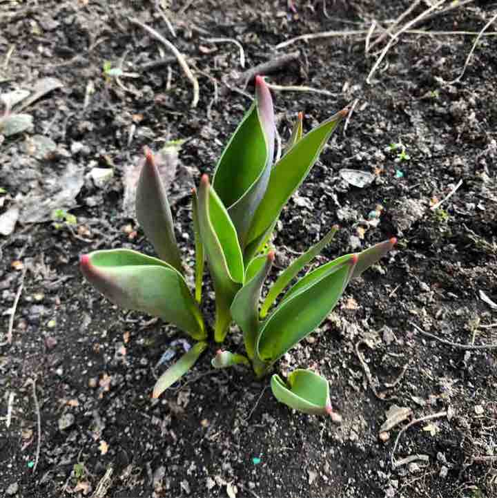 ✨🔥🇷🇺Листова Наталья🦔🍋🍋🍋🍋🍋🍋🍋🍋🍋🍋🍋🍋🍋🍋 post 1