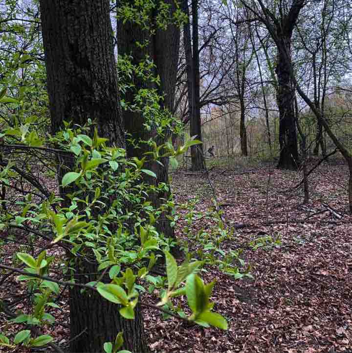 🔥 ДерZкие и Шальные🔥 ✨🔥🇷🇺Листова Наталья🦔🍋🍋🍋🍋🍋🍋🍋🍋🍋🍋🍋🍋🍋🍋🍋🍋 post image