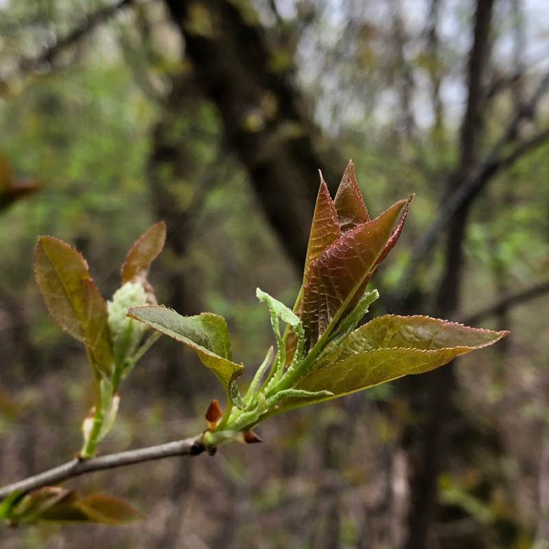 🔥 ДерZкие и Шальные🔥 ✨🔥🇷🇺Листова Наталья🦔🍋🍋🍋🍋🍋🍋🍋🍋🍋🍋🍋🍋🍋🍋🍋🍋 post image
