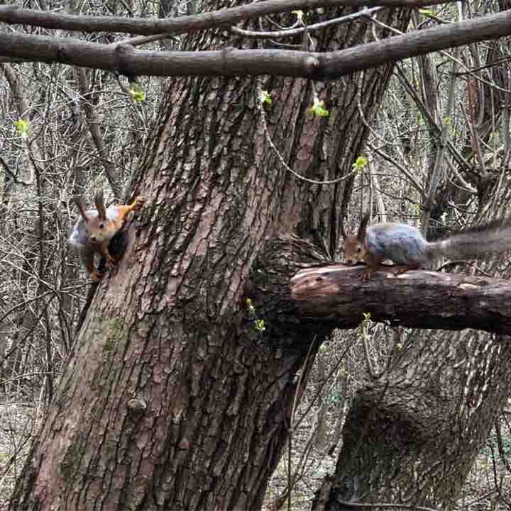 🔥 ДерZкие и Шальные🔥 ✨🔥🇷🇺Листова Наталья🦔🍋🍋🍋🍋🍋🍋🍋🍋🍋🍋🍋🍋🍋🍋🍋🍋 post image
