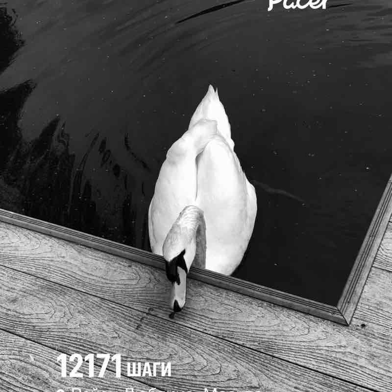 ✨🔥🇷🇺Листова Наталья🦔🍋16🍋 post 1