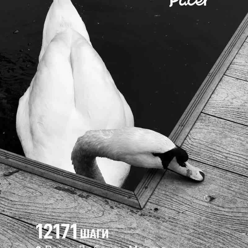 ✨🔥🇷🇺Листова Наталья🦔🍋16🍋 post 3