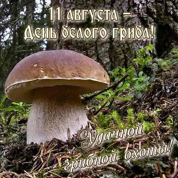 ✨🔥🇷🇺Листова Наталья🦔🍋16🍋 post 3