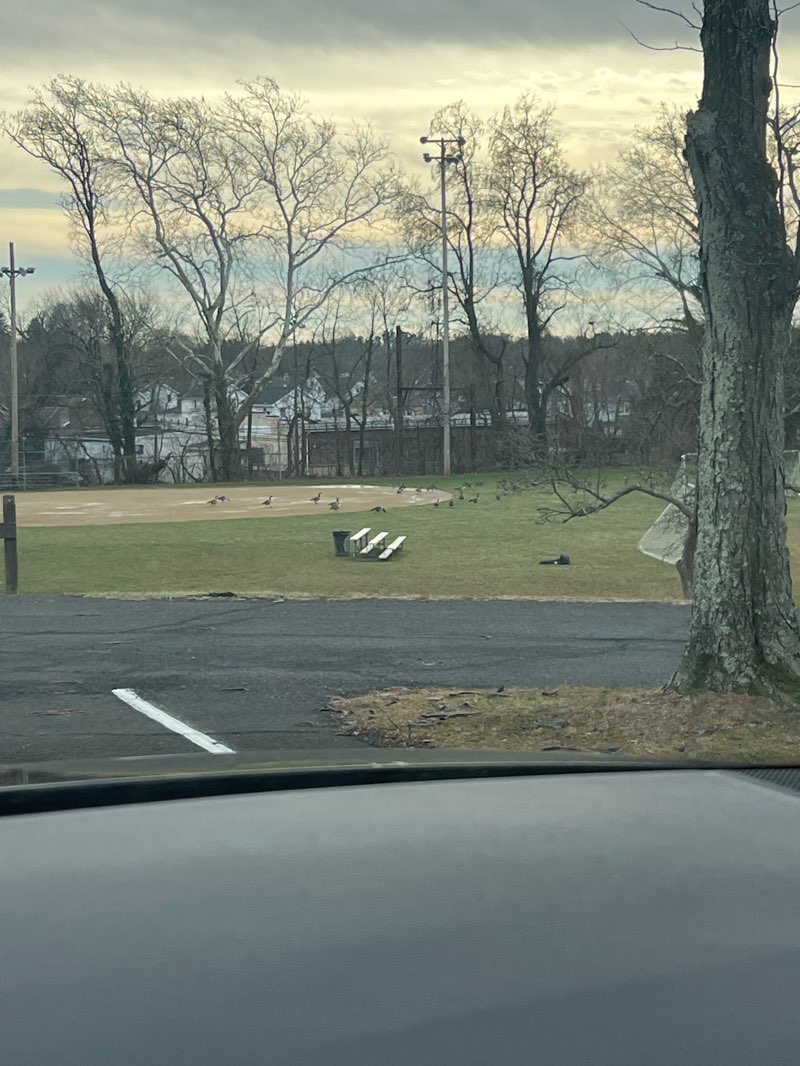 walking near me in Penbryn Park in winter