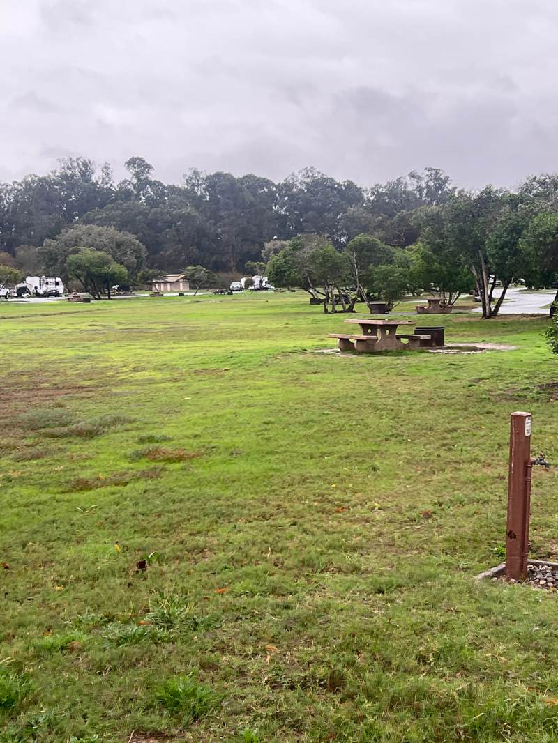 walking near me in Pismo park in winter