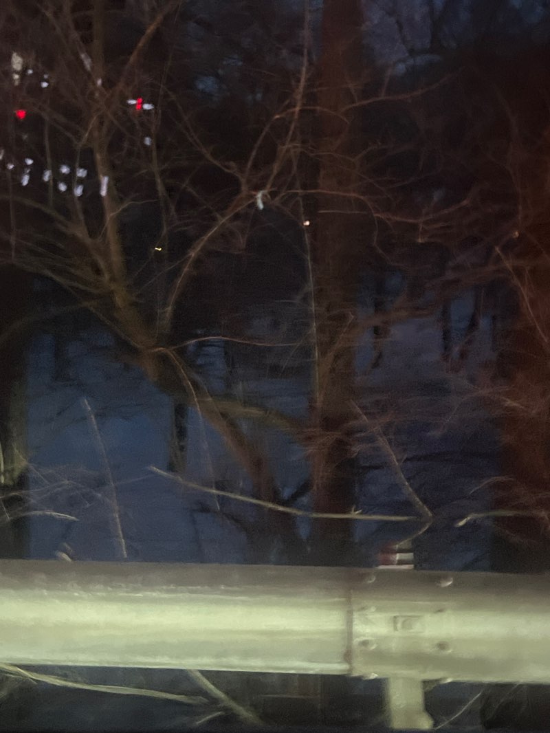 walking near me in Cisco Park in winter