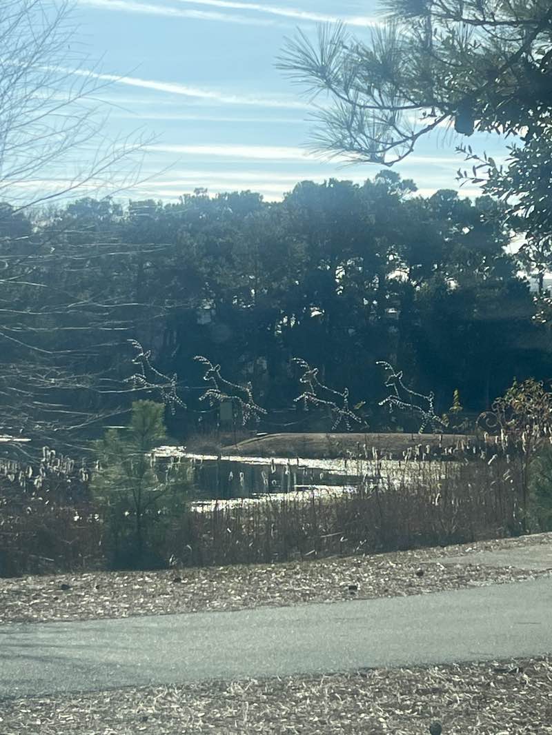 walking near me in Aviation Park in winter