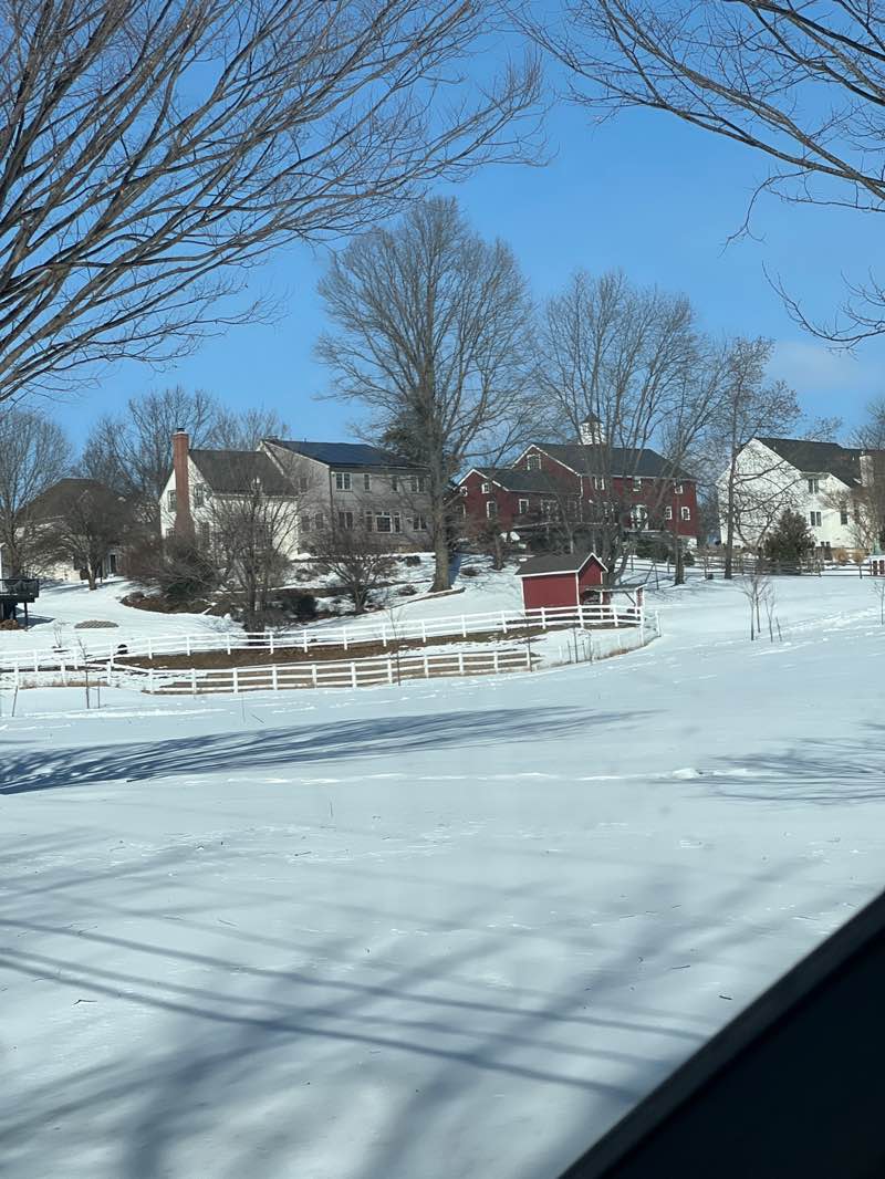 walking near me in Valley Green Park in winter