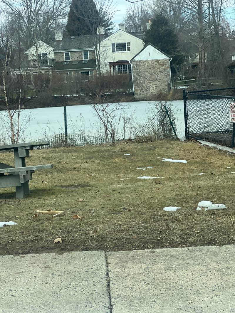 walking near me in Mondauk Waters/Wentz Pond in winter