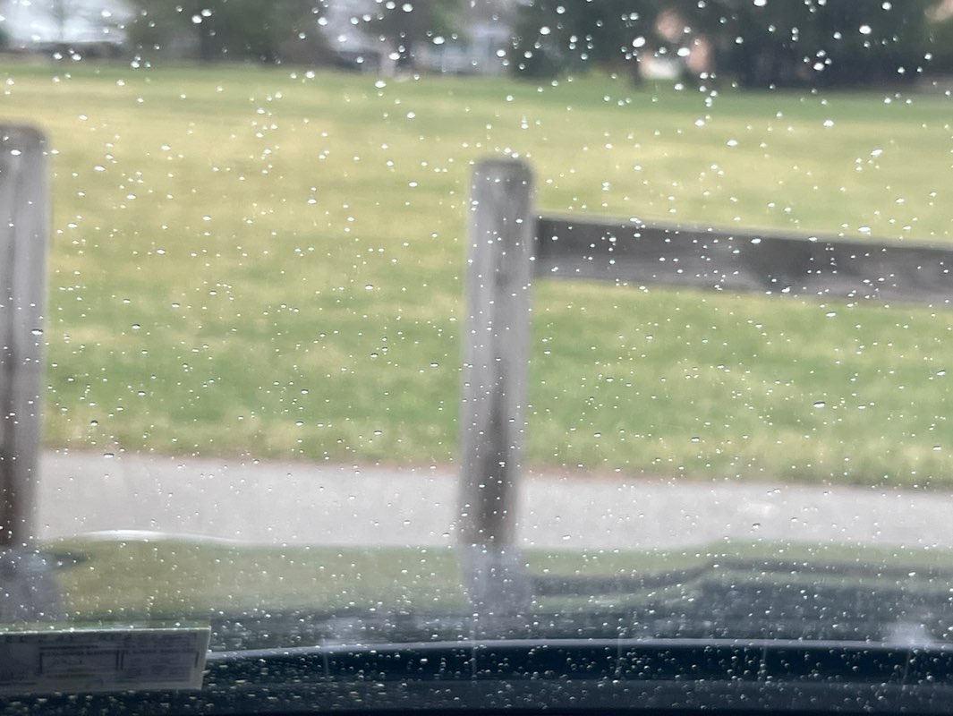 walking near me in Veterans Memorial Park in spring