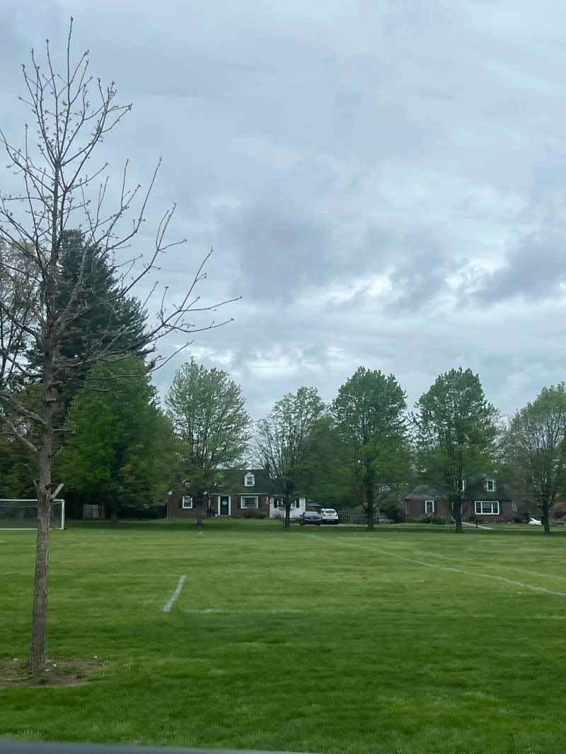 walking near me in Sheeleigh Park in spring