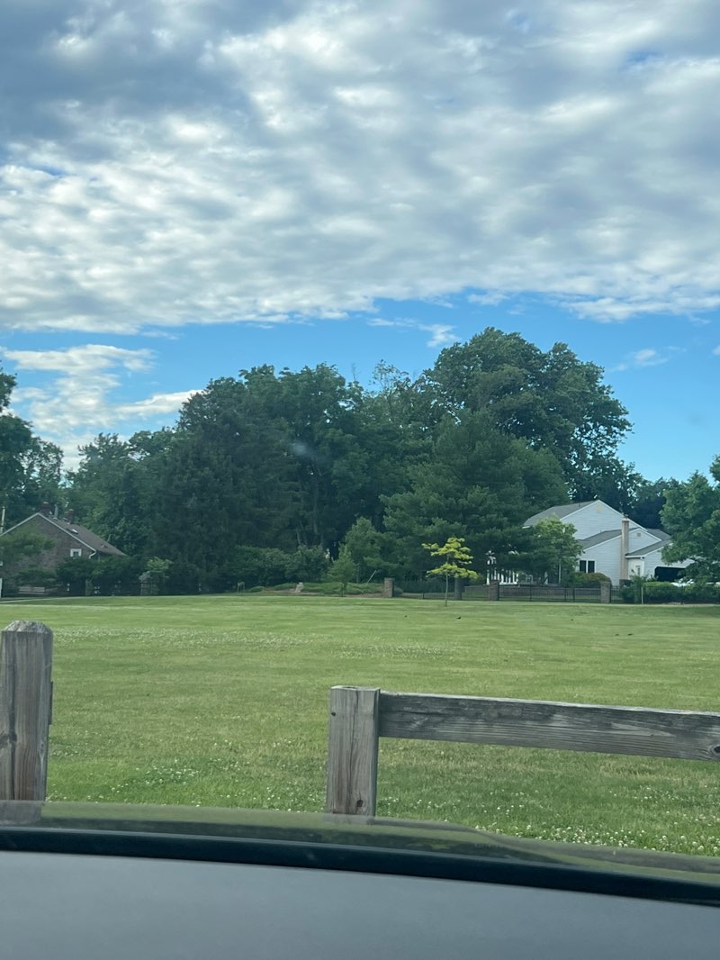 walking near me in Veterans Memorial Park in summer