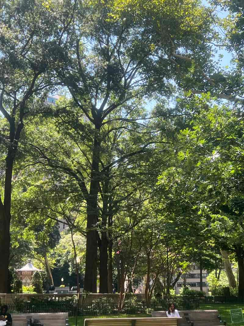 walking near me in Rittenhouse Square in summer