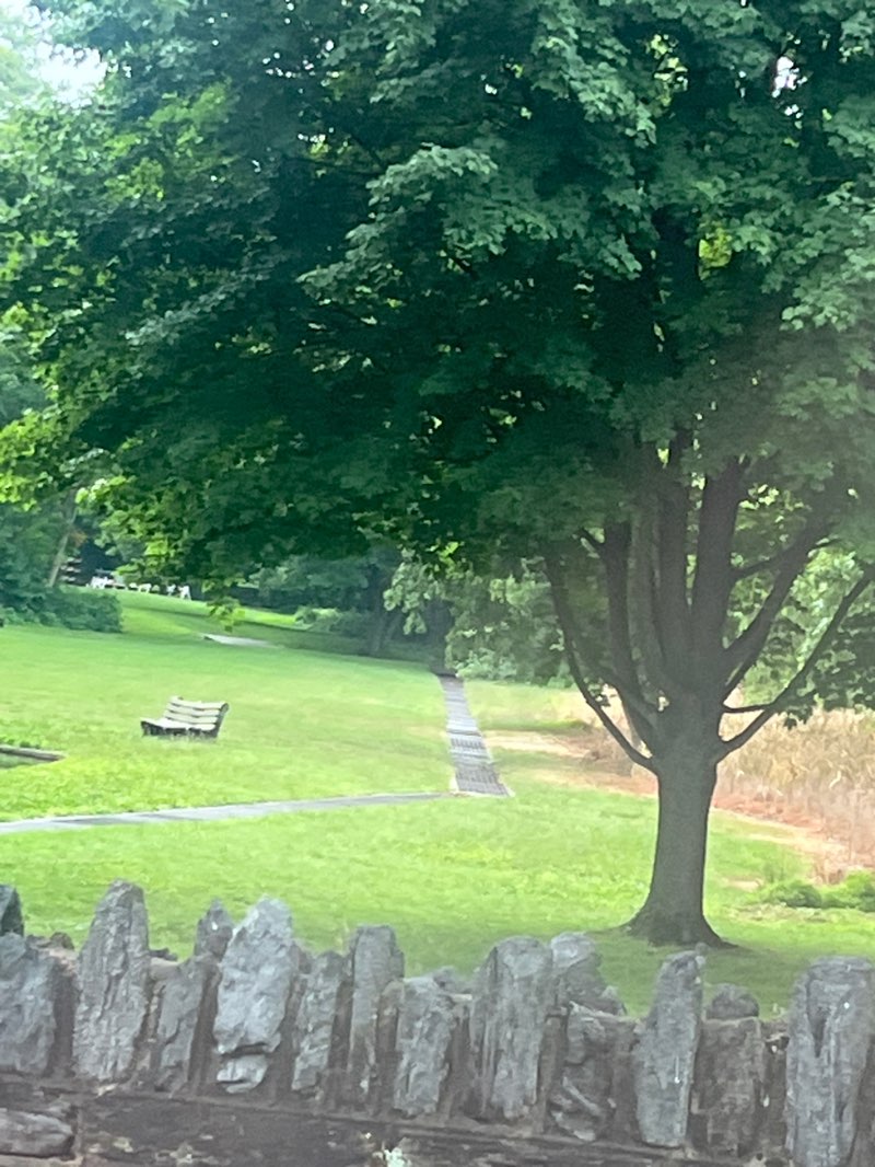 walking near me in Robinson Park in summer