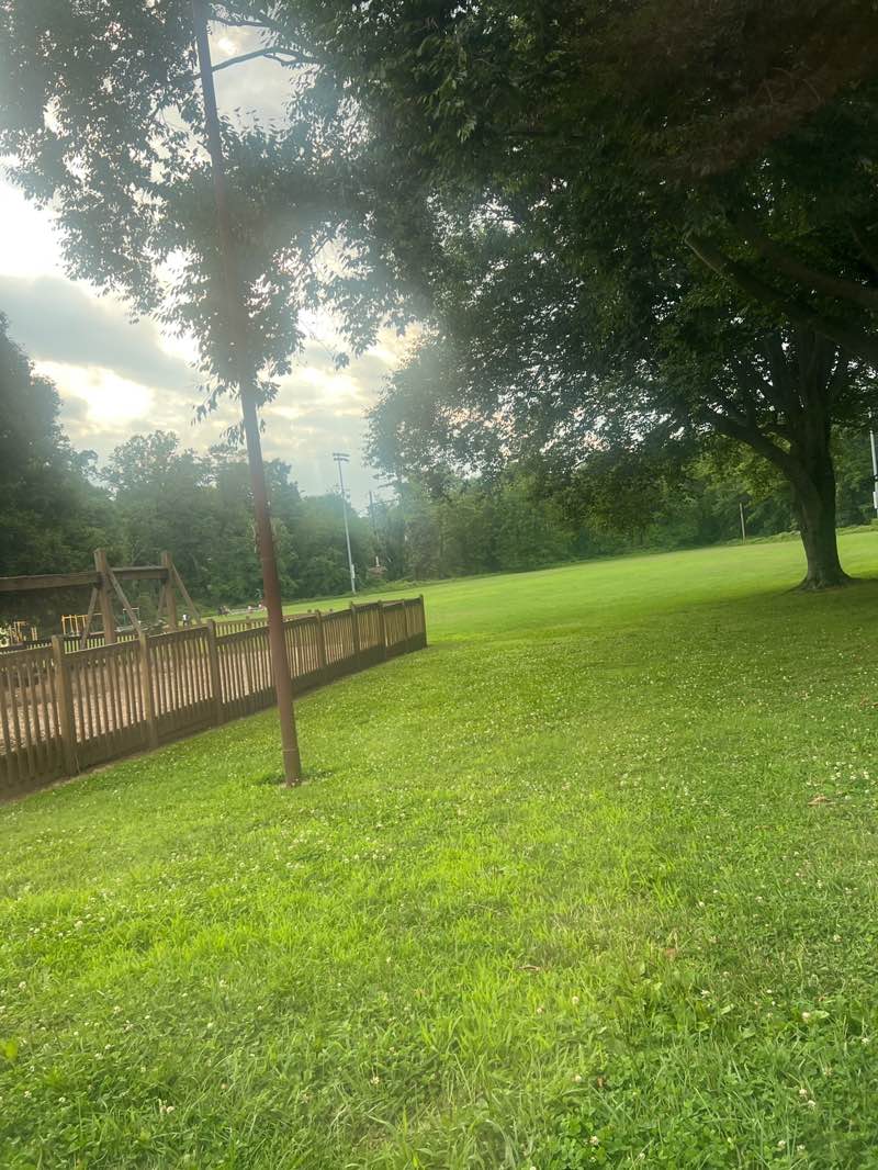 walking near me in Richard Wall Park in summer