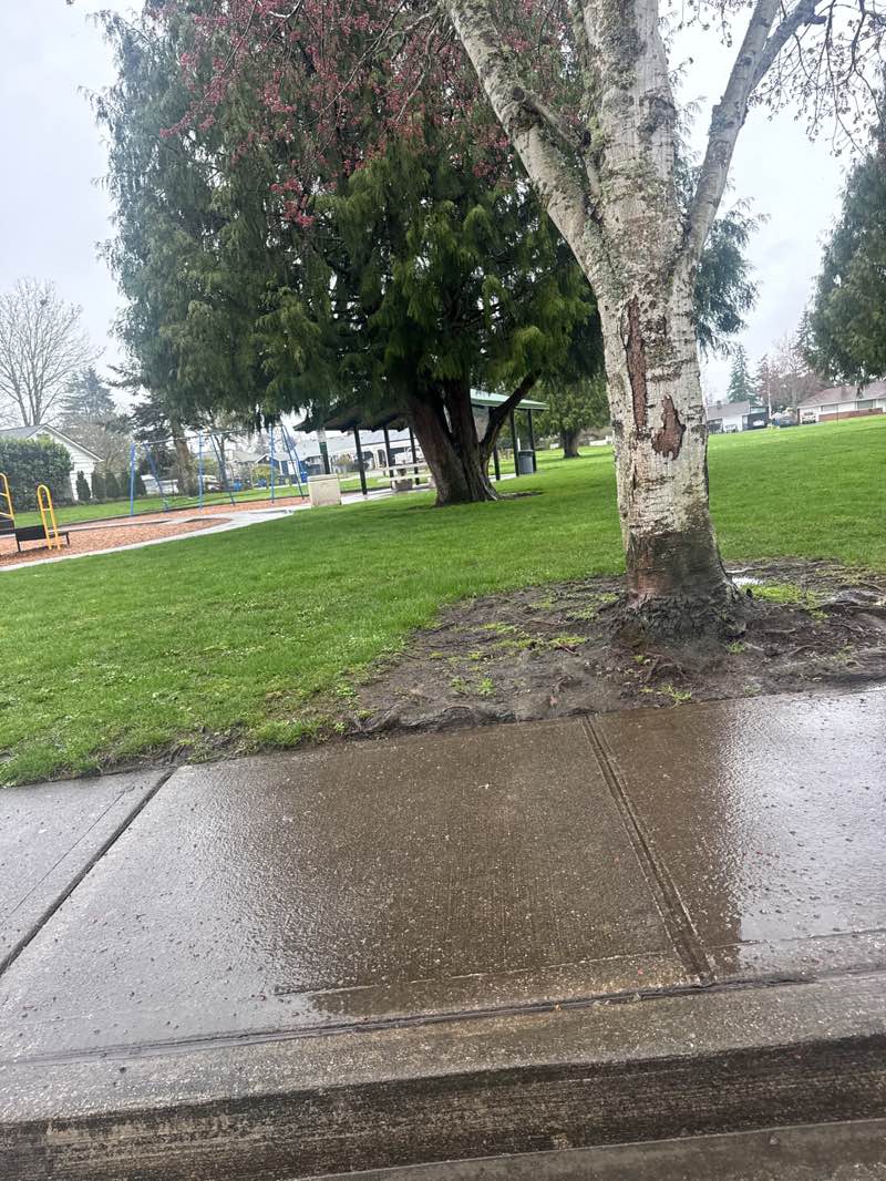 walking near me in Active Park in spring
