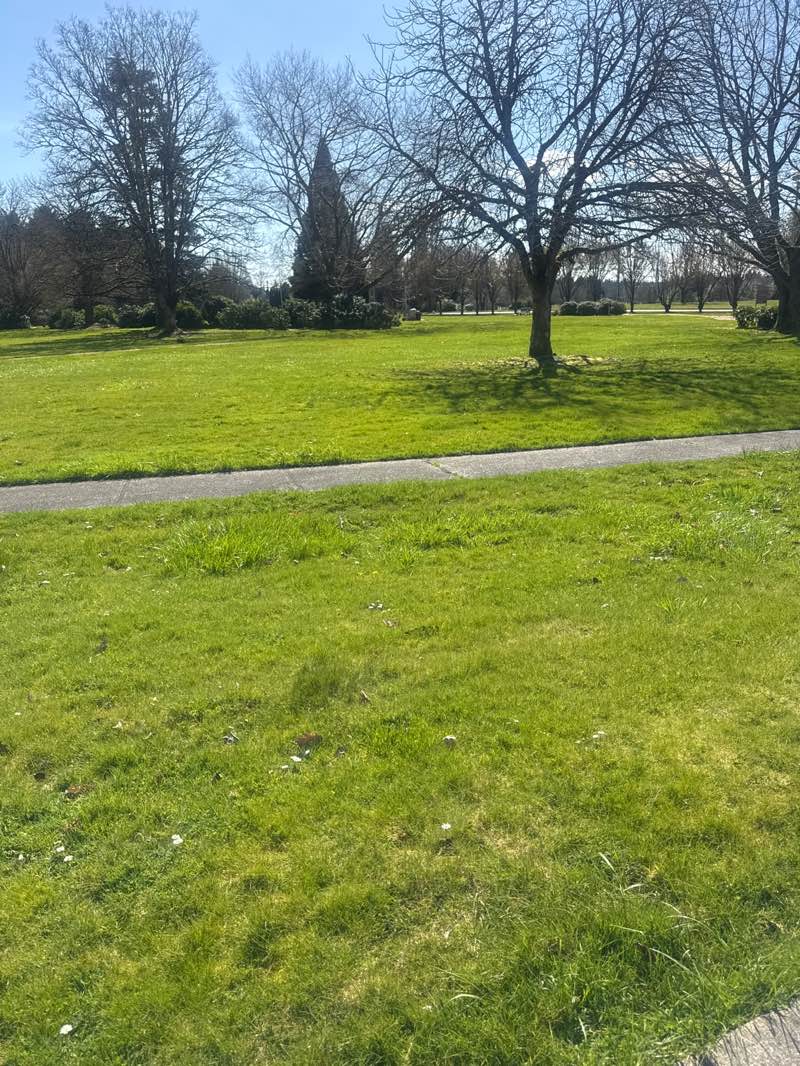 walking near me in Memorial Field in spring