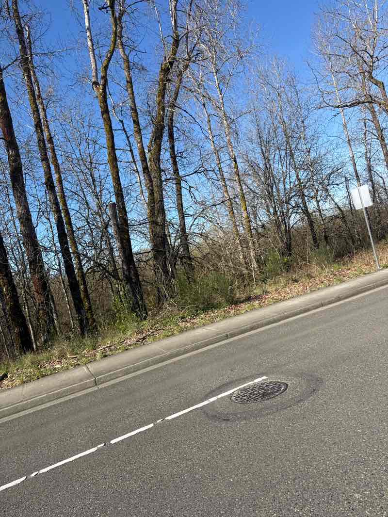 walking near me in Seeley Lake Park in spring