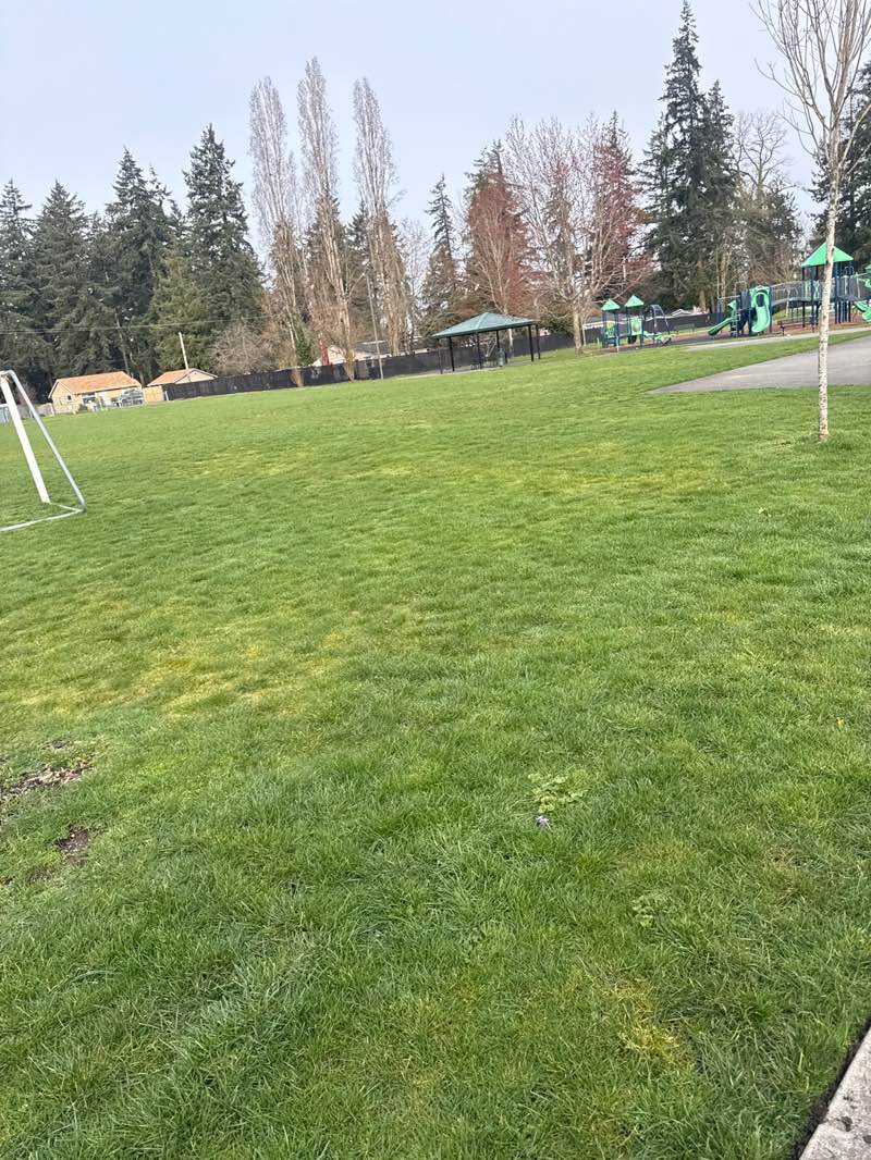 walking near me in Springbrook Park in spring