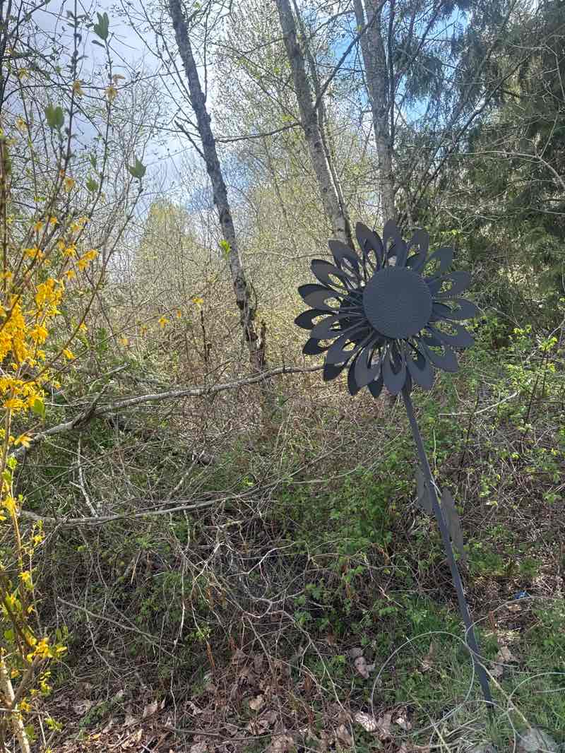 walking near me in Soos Creek Park and Trails in spring