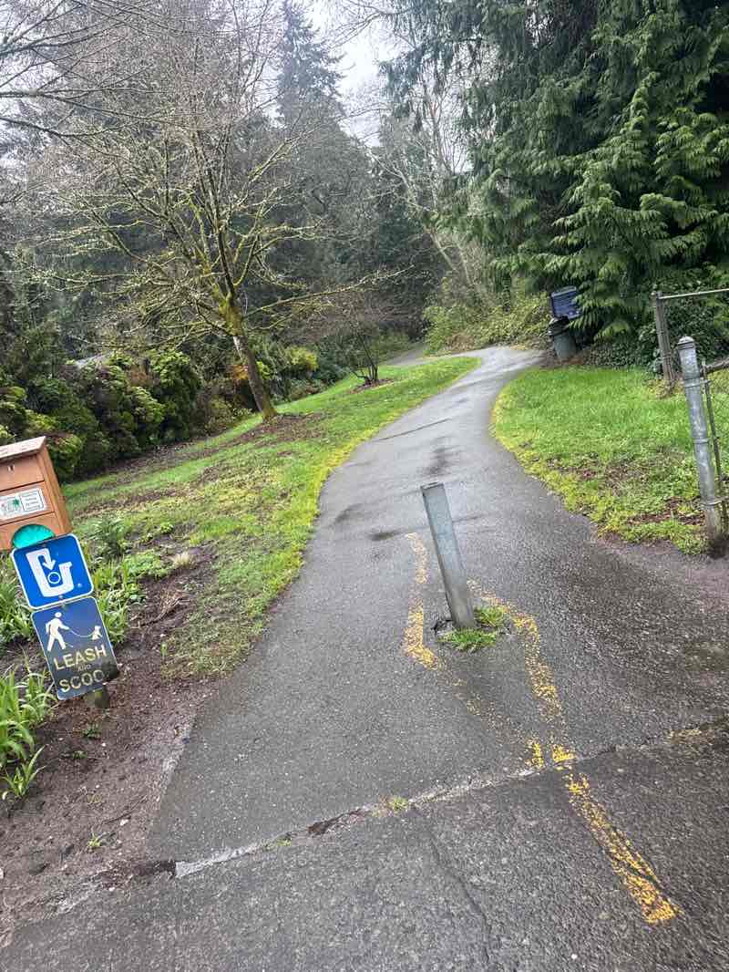 walking near me in Olympic View Park in spring
