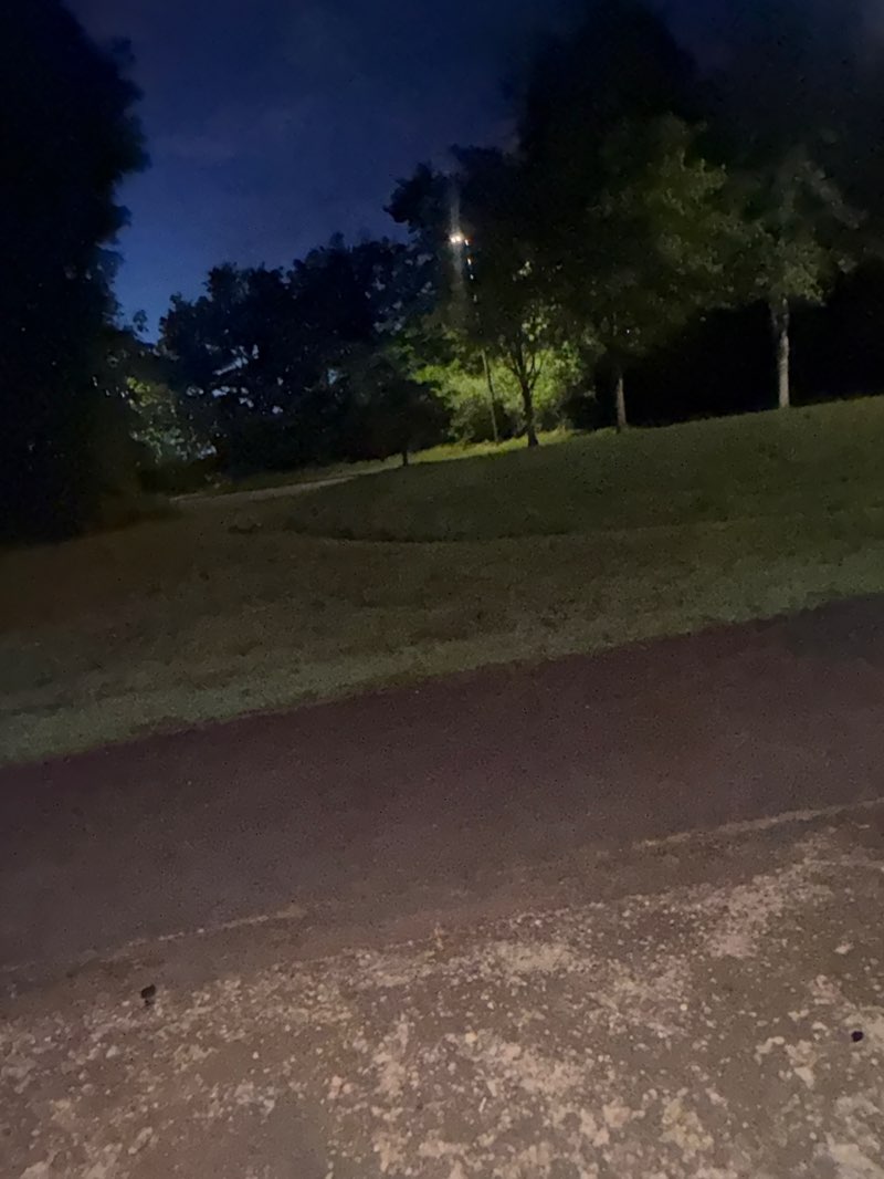 walking near me in Petrovitsky Park in spring