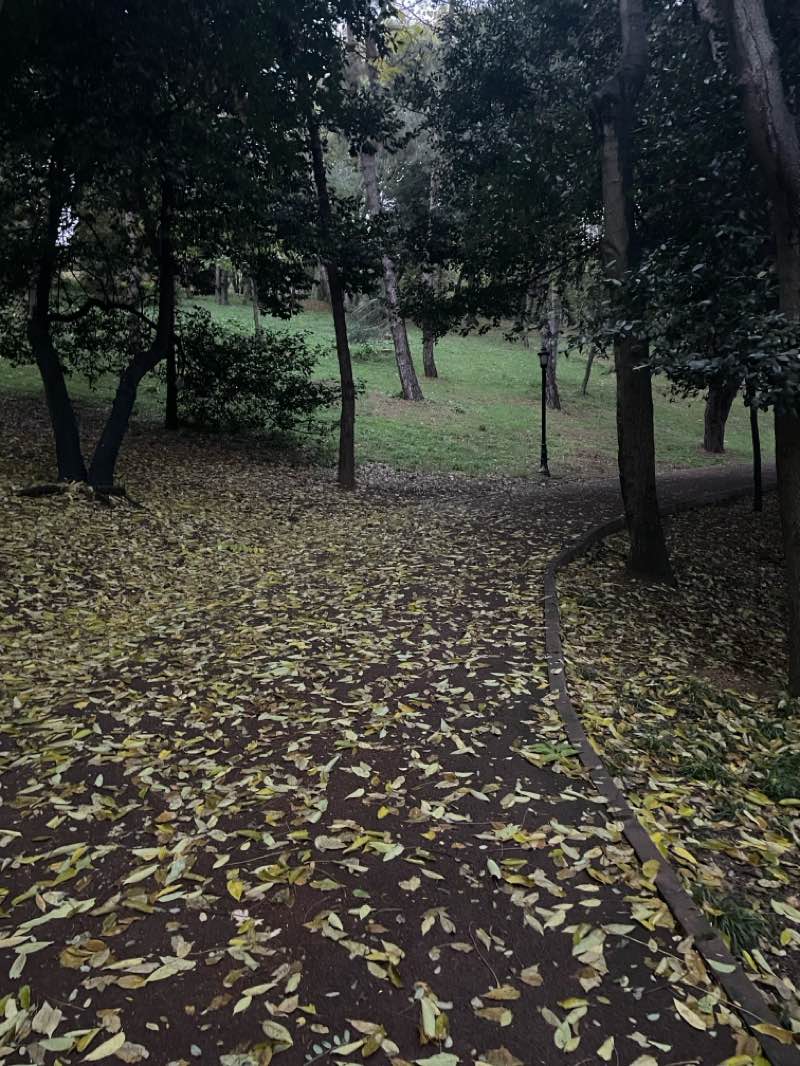 walking near me in Emirgan Park in winter