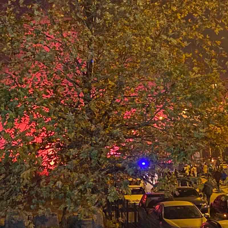 🐝 OKTAY 🍎 post 3