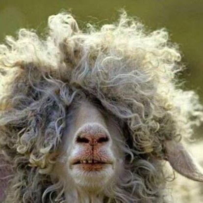 🐝 OKTAY 🍎 post 1