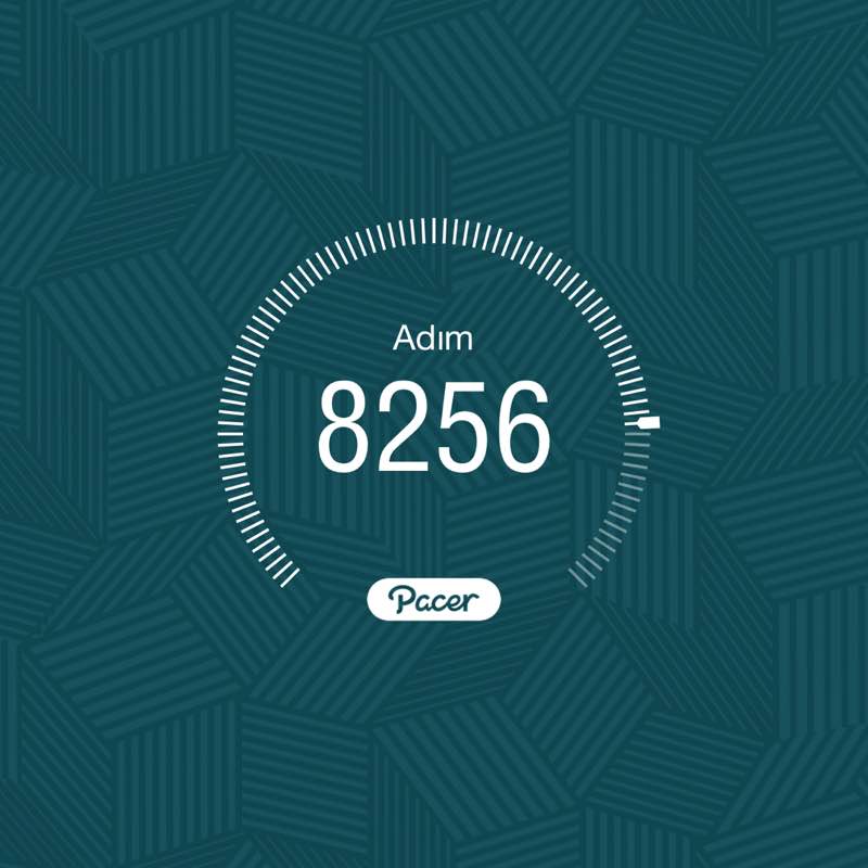 🐝 OKTAY 🍎 post 1