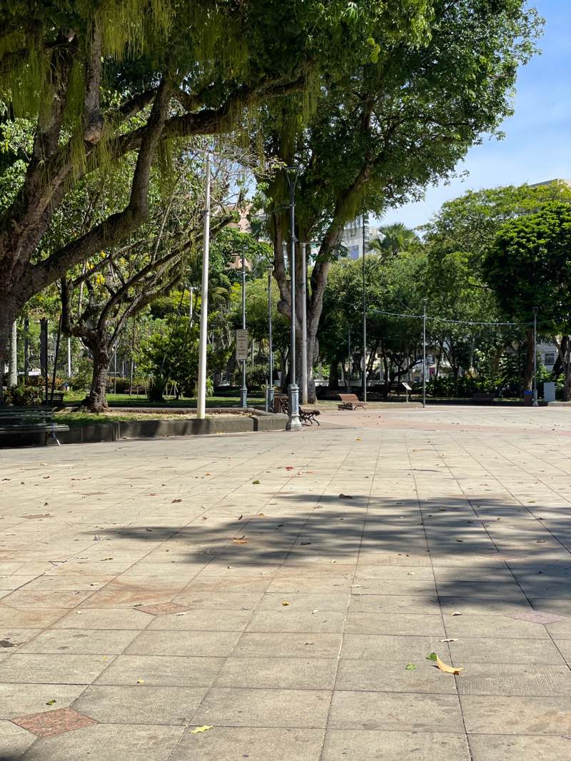 walking near me in Largo do Campo Grande in summer