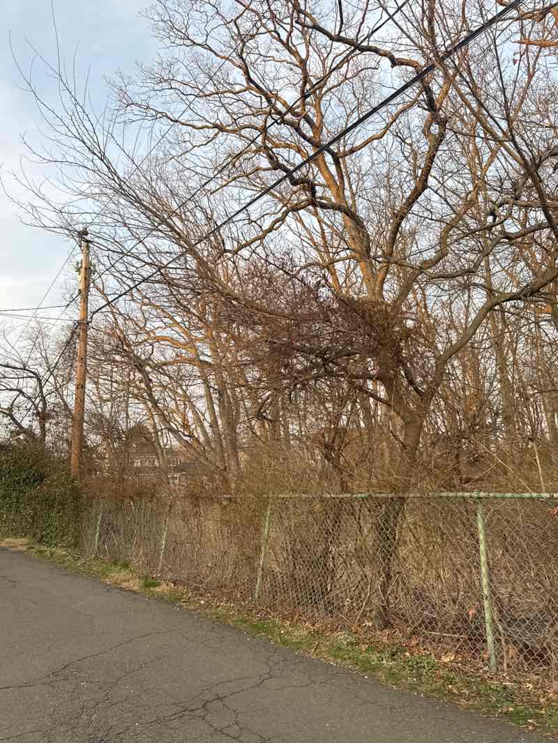walking near me in Bayley Beach Park in spring